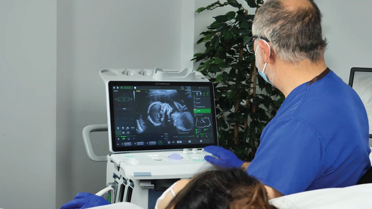 Clinical AI Acquisition: GE HealthCare to Acquire Business from Intelligent Ultrasound