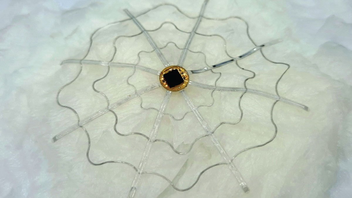 Biodegradable Electronic Tent Revolutionizes Brain Disease Diagnosis