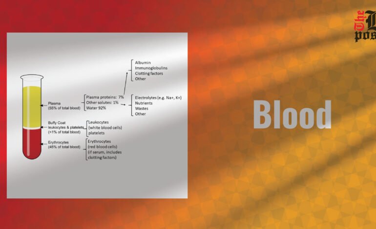 Blood: Functions, Components and Importance