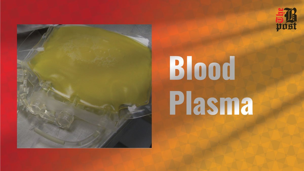 Blood Plasma: The Lifeblood of Our Circulatory System