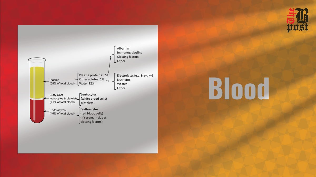 Blood: Functions, Components and Importance