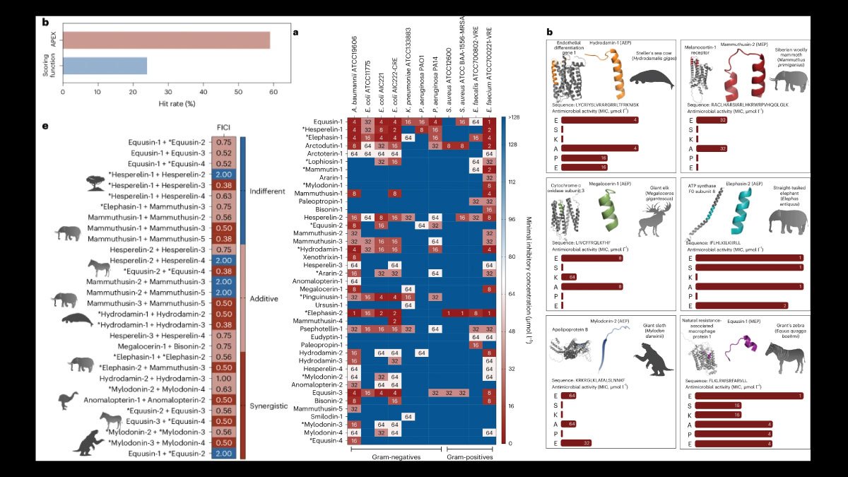 Deep Learning Antibiotic Discovery Through Molecular De-Extinction