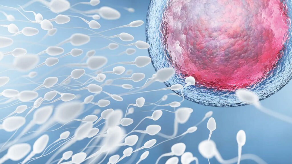 AI predicting infertility