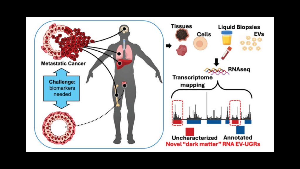 Nanoparticles in blood