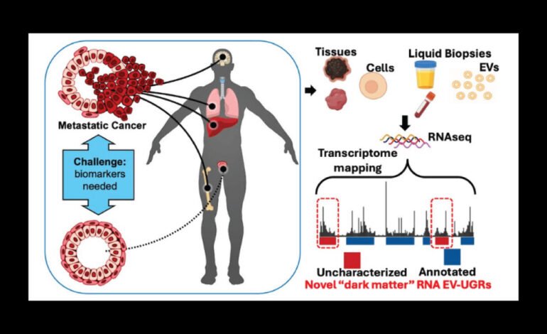 Nanoparticles in Blood: A Game-Changer for Cancer Diagnosis