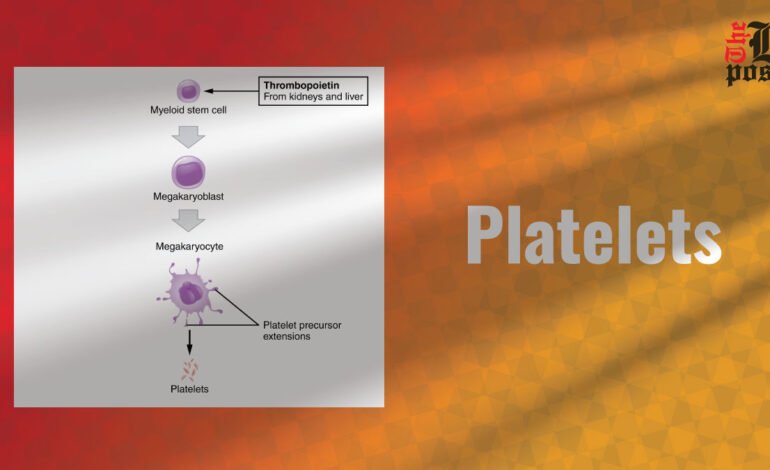 Platelets: Key Players in Blood Clotting and Healing