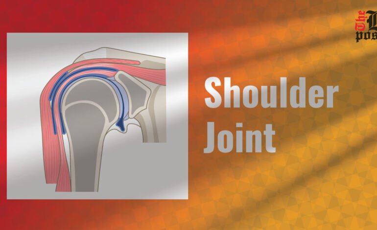 Shoulder Joint: Understanding Its Structure and Function