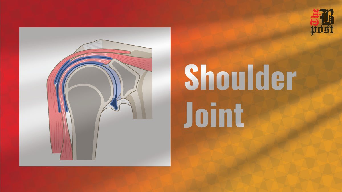 Shoulder Joint: Understanding Its Structure and Function