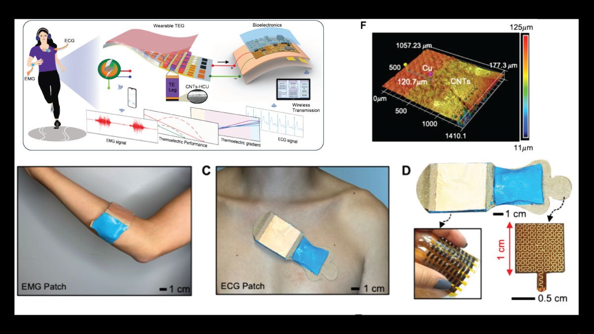 Thermoelectric Wearable Architecture for Wireless Continuous Physiological Monitoring