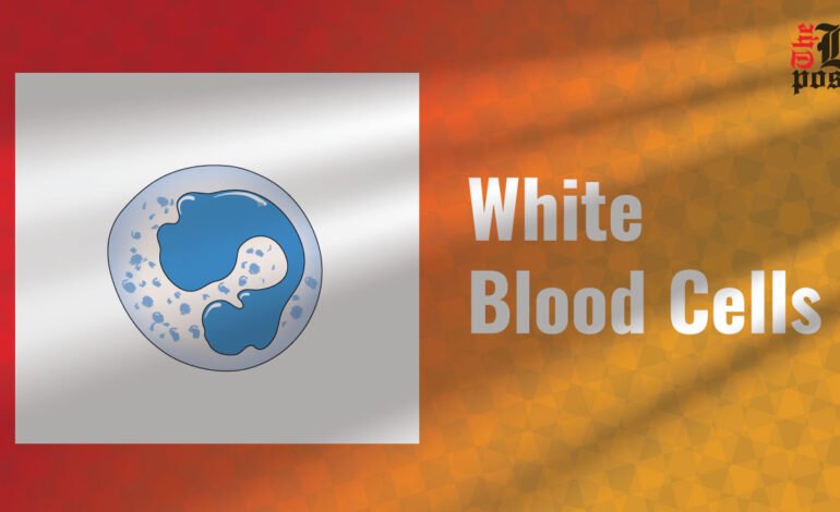 White Blood Cells: Defenders of Your Immune System